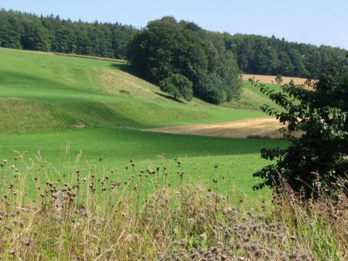 Landgasthof Zur Post Heiligenborn Værelse billede